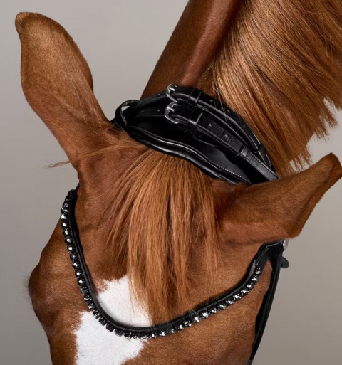 Ogłowie rurkowe Dy'on ComfoHead Working