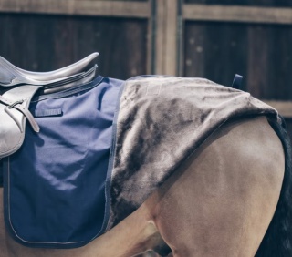 Półderka do jazdy Kentucky Quarter Rug All Weather 160g