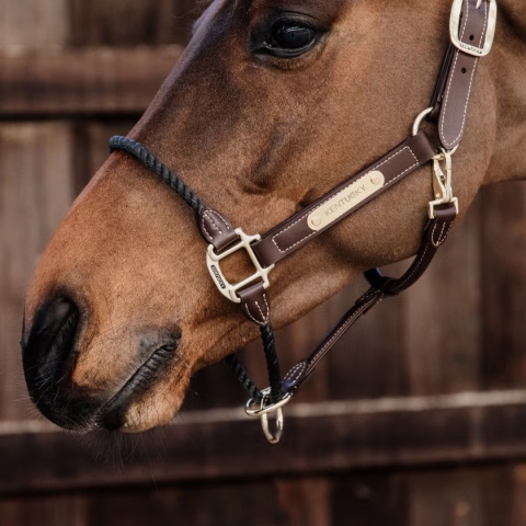 Skórzano - liniowy kantar Kentucky