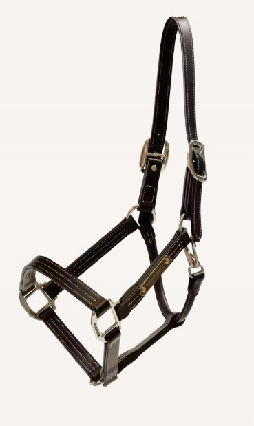 Skórzany kantar Kentucky Wellington