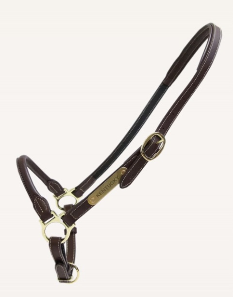 Skórzany kantar Kentucky typu "Grooming"