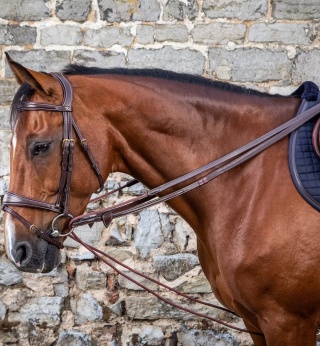 Wodza pomocnicza 5/8 Dy'on D Collection