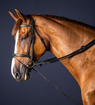 Wodza pomocnicza Dy'on 5/8 New English