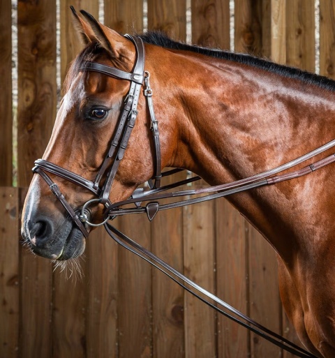 Wodza pomocnicza Dy'on Hunter Working 1/2 gumowo-skórzana