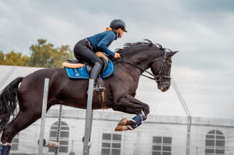 Czaprak skokowy dla konia Esme JD Attack