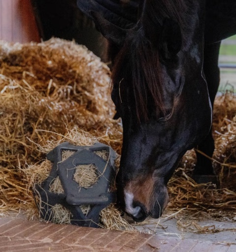 Elastyczna piłka na siano Kentucky Relax Horse Play & Hay Ball