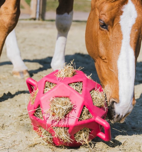 Elastyczna piłka na siano Kentucky Relax Horse Play & Hay Ball