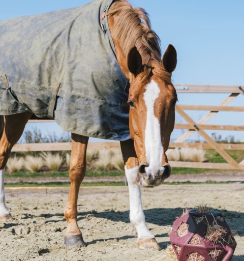 Elastyczna piłka na siano Kentucky Relax Horse Play & Hay Ball