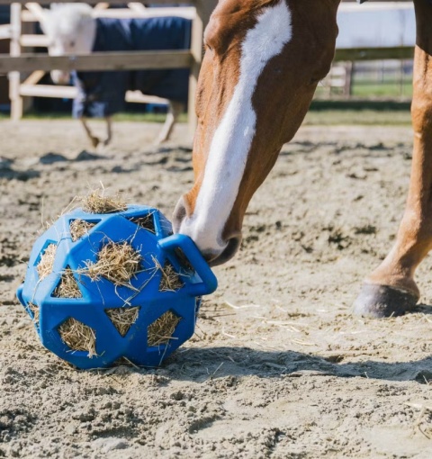 Elastyczna piłka na siano Kentucky Relax Horse Play & Hay Ball