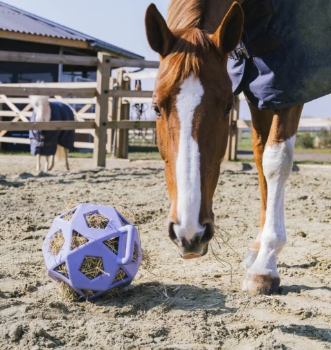 Elastyczna piłka na siano Kentucky Relax Horse Play & Hay Ball