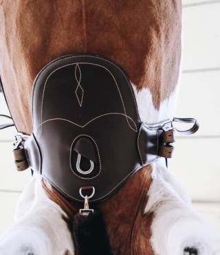 Krótki popręg Kentucky z fartuchem