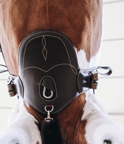 Krótki popręg Kentucky z fartuchem