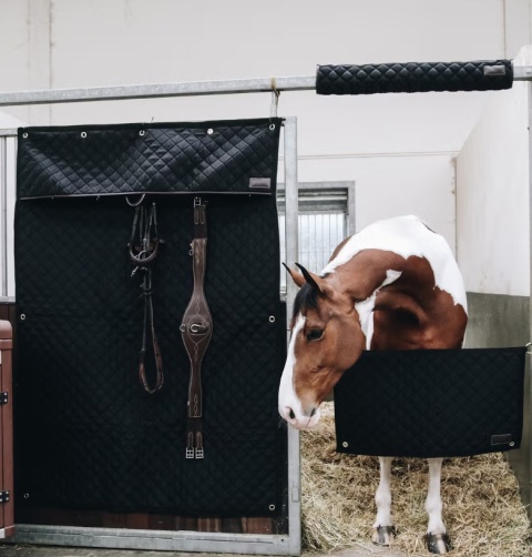 Kurtyna na boks Kentucky