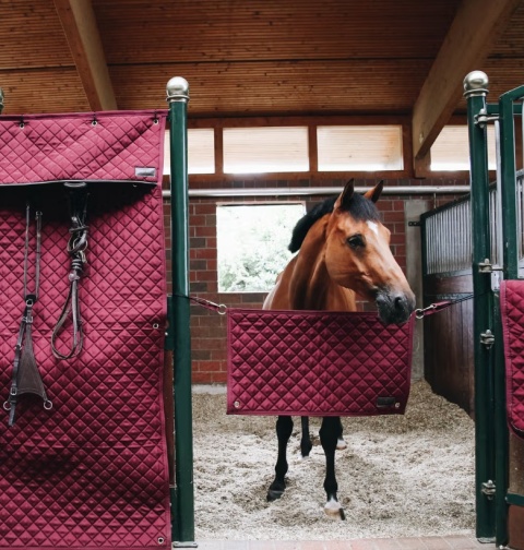 Kurtyna na boks Kentucky