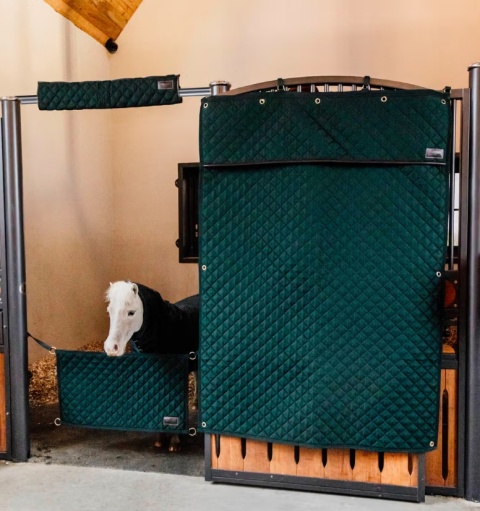 Kurtyna na boks Kentucky