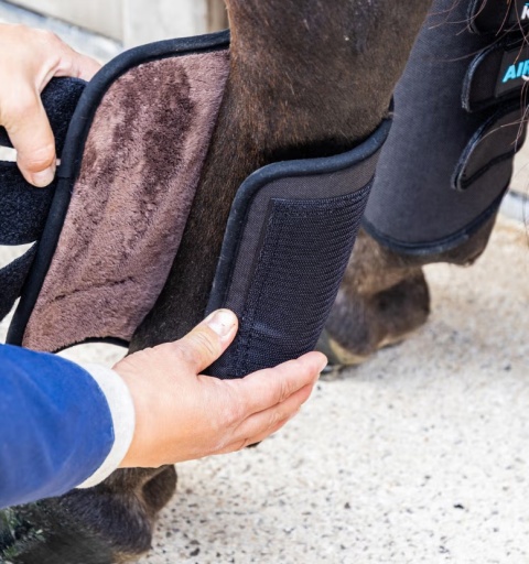 Ochraniacze Kentucky Eventing Boots 3D Air Flow Skin Friendly tyły