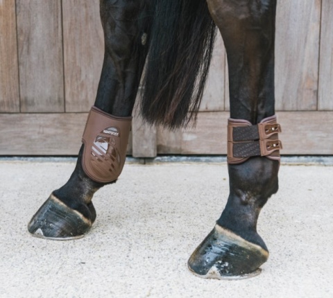 Ochraniacze Kentucky Fetlock Elastic na zadnie nogi