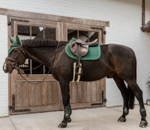 Ochraniacze Kentucky Young Horse Fetlock na tylne nogi