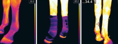 Ochraniacze magnetyczne Kentucky Recuptex