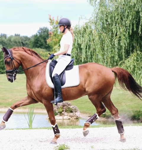 Ochraniacze skórzane Kentucky Turnout Brushing przody