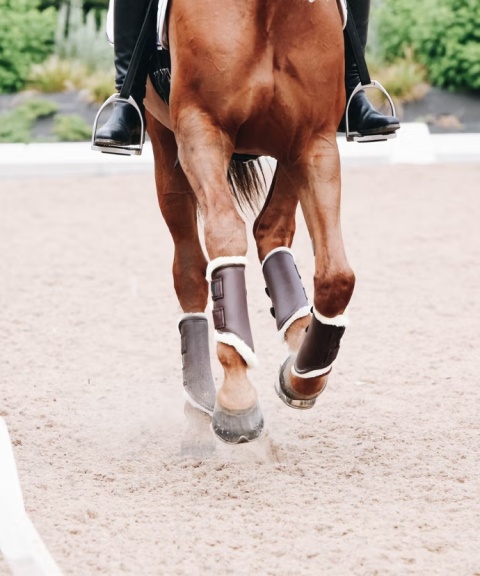 Ochraniacze skórzane Kentucky Turnout Brushing przody