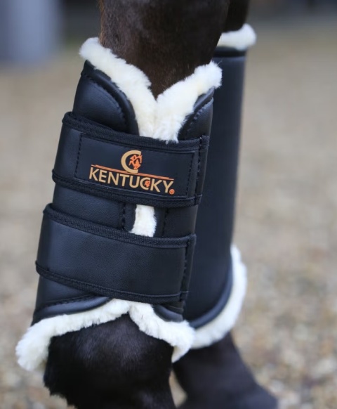 Ochraniacze skórzane Kentucky Turnout Brushing przody