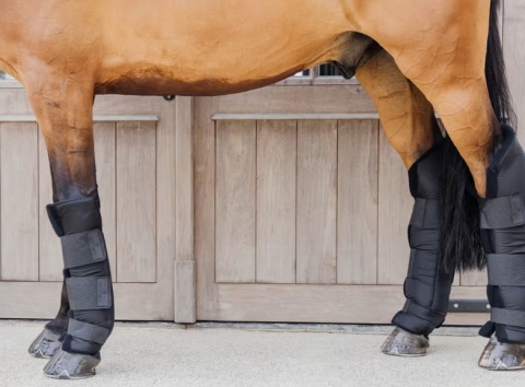 Ochraniacze stajenno-transportowe Kentucky PROtect Long - przody