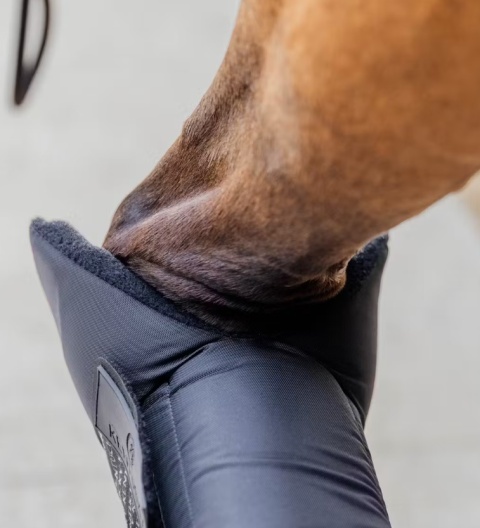 Ochraniacze stajenno-transportowe Kentucky PROtect Long - przody