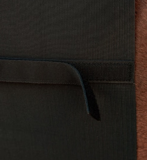 Pas ochronny Kentucky Belly Band