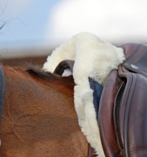 Podkładka Kentucky Sheepskin Absorb