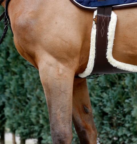 Popręg Kentucky z fartuchem i futrem