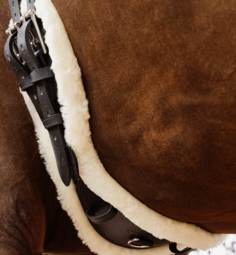 Popręg ujeżdżeniowy Kentucky anatomiczny z futrem