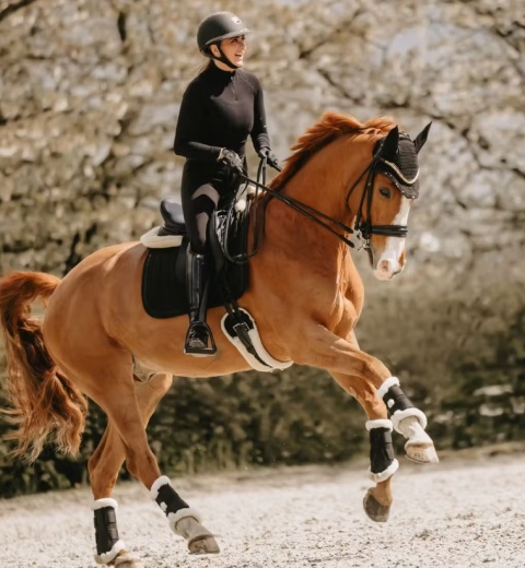 Popręg ujeżdżeniowy Kentucky z futrem