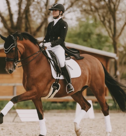 Popręg ujeżdżeniowy Kentucky z futrem