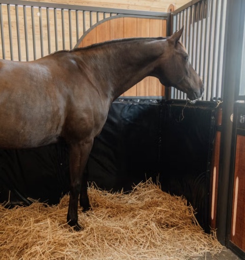 Mata amortyzująca Kentucky 200x120 cm