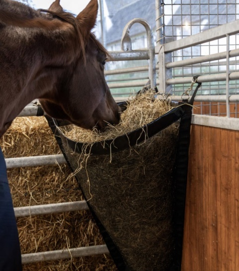 Siatka na siano Kentucky Hay Bag Corner