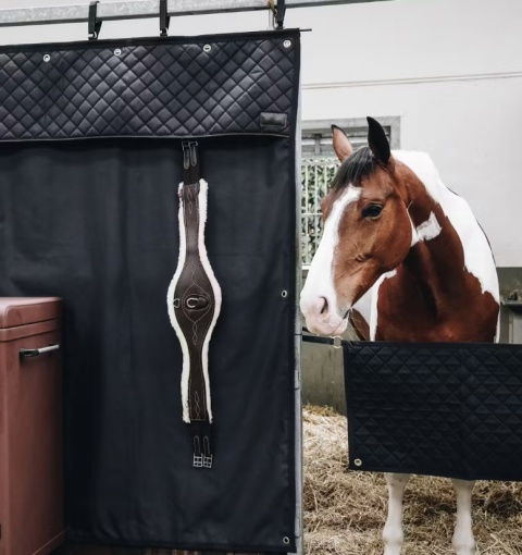 Wodoodporna kurtyna na boks Kentucky
