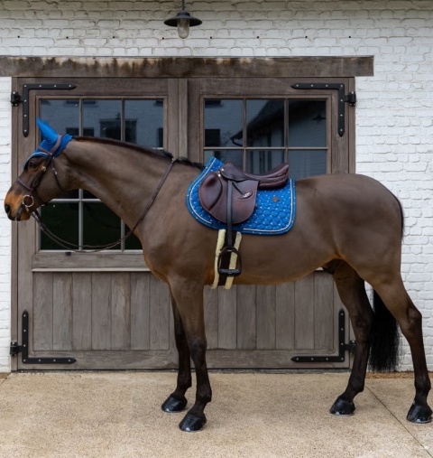 Czaprak skokowy Kentucky Velvet Horse printing