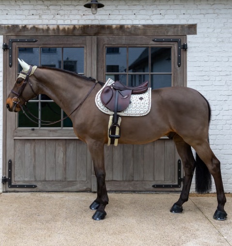 Czaprak skokowy Kentucky Velvet Horse printing