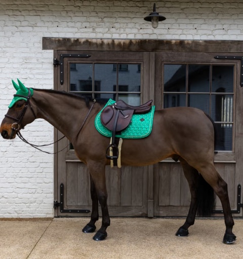 Czaprak skokowy Kentucky Velvet Horse printing