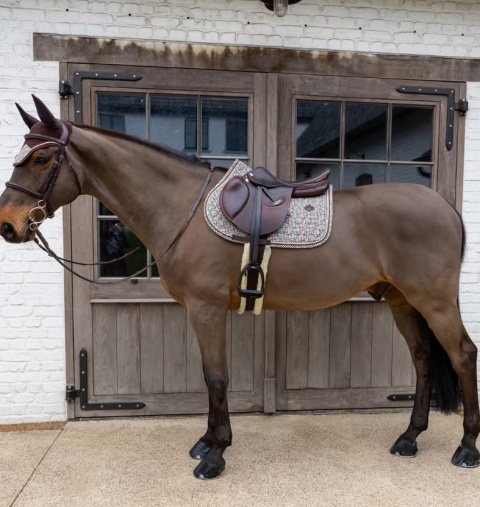 Czaprak skokowy Kentucky Velvet Pied-de-Poule