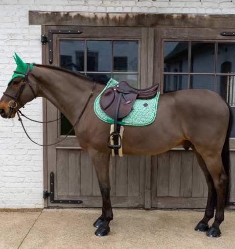 Czaprak skokowy Kentucky Velvet Pied-de-Poule