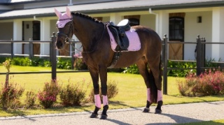 Czaprak ujeżdżeniowy LeMieux Essence Dressage Square