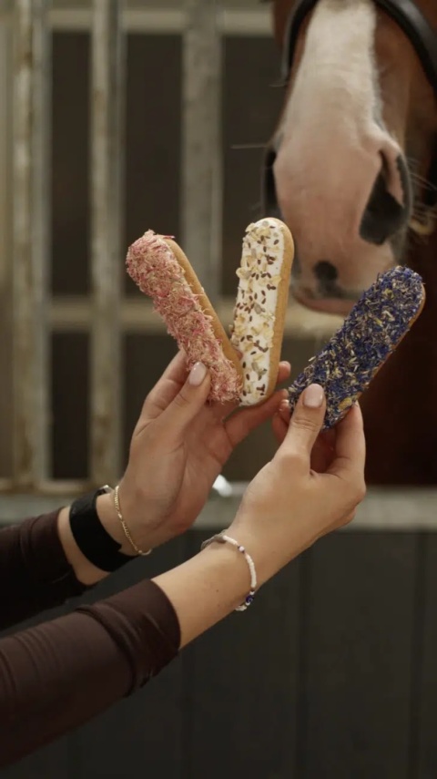 Ekler Candy Horze Rózowy Chaber