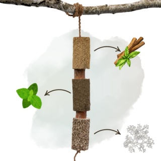 Gryzak Candy Horse Regeneracja