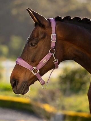 Kantar LeMieux Versailles