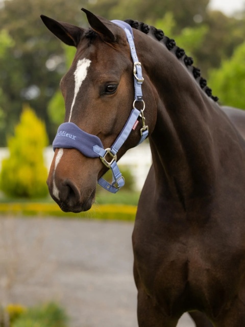 Kantar z uwiązem LeMieux Vogue