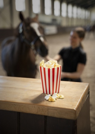 Limitowane lukrowane ciastko popcorn Candy Horse FOODIE