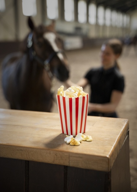 Limitowane lukrowane ciastko popcorn Candy Horse FOODIE