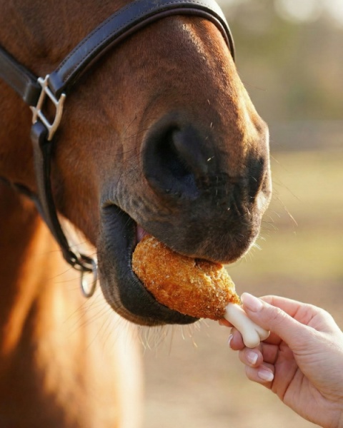 Limitowane pałeczki z kurczaka Candy Horse FOODIE